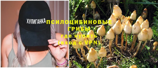 амф Козловка
