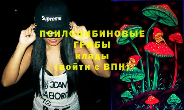 спайс Козельск