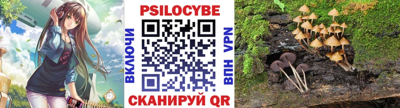Псилоцибиновые грибы GOLDEN TEACHER  Купить где  Пущино 